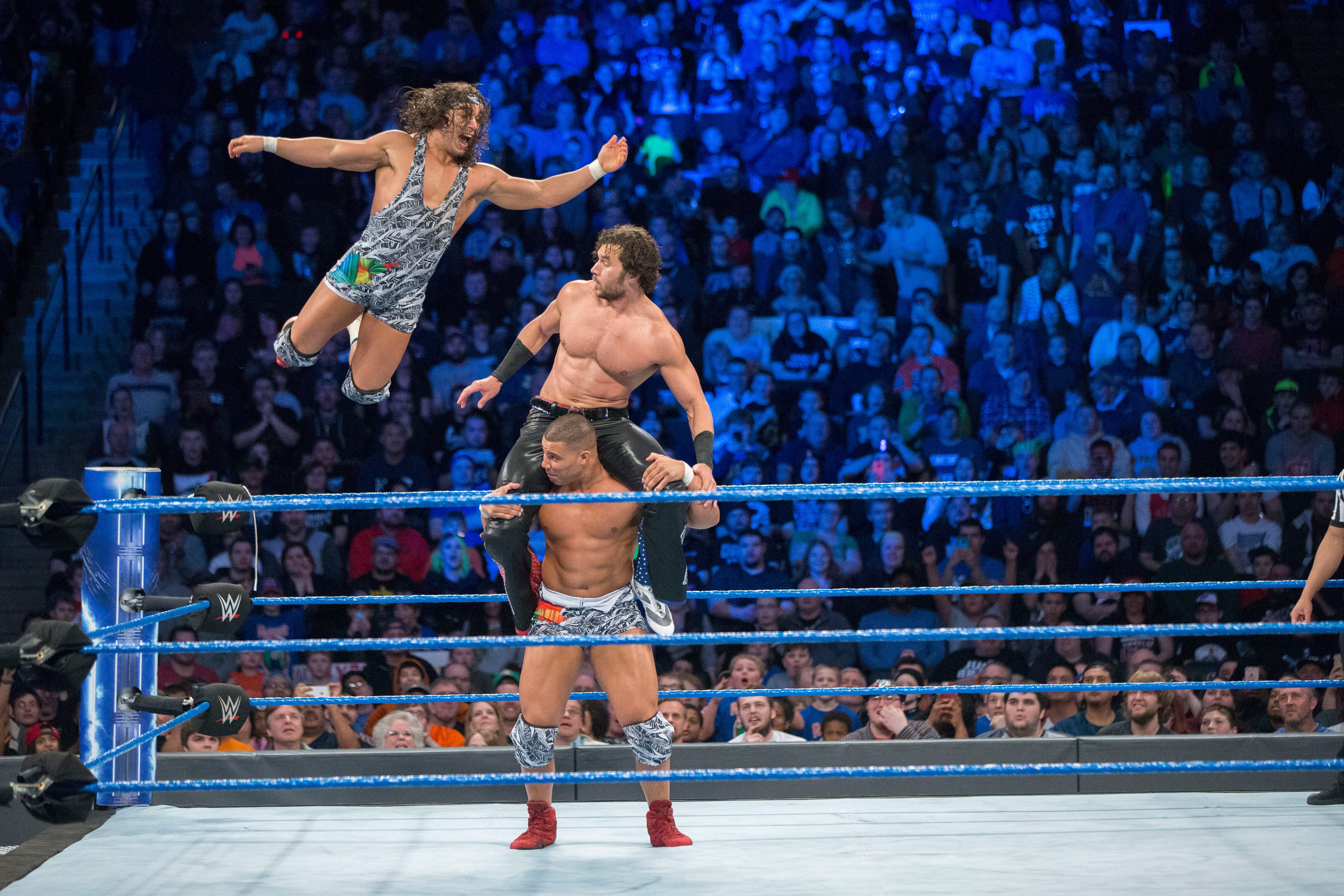 professional wrestling